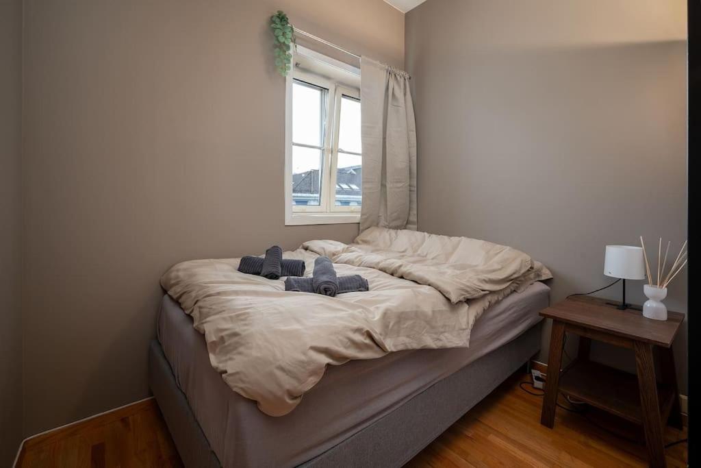 Studio Apt In City Centre Trondheim Esterno foto